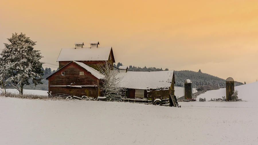 Winter Farmland Photograph
