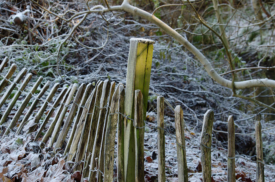 Winter Fence Photograph by Adrian Wale