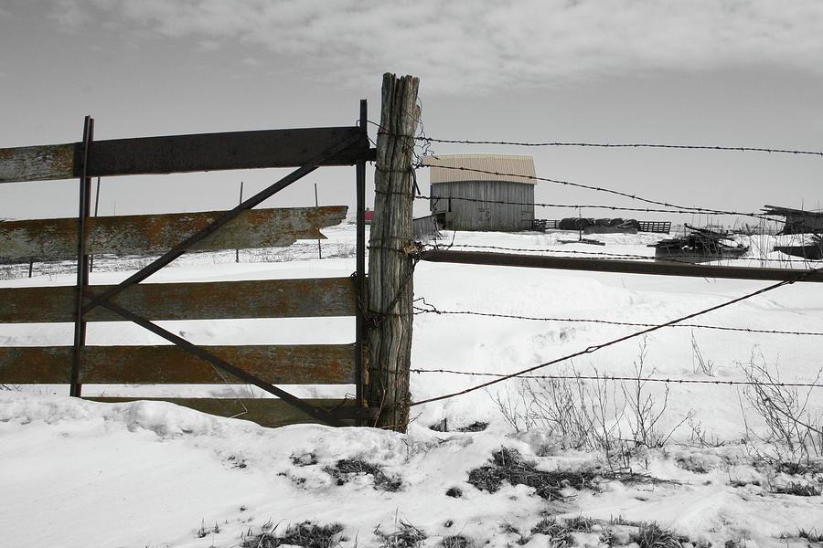 Winter Fence Farm Photograph by Dylan Punke