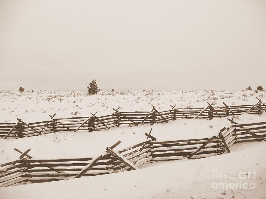 Winter Fence in Oregon Photograph by Carol Groenen