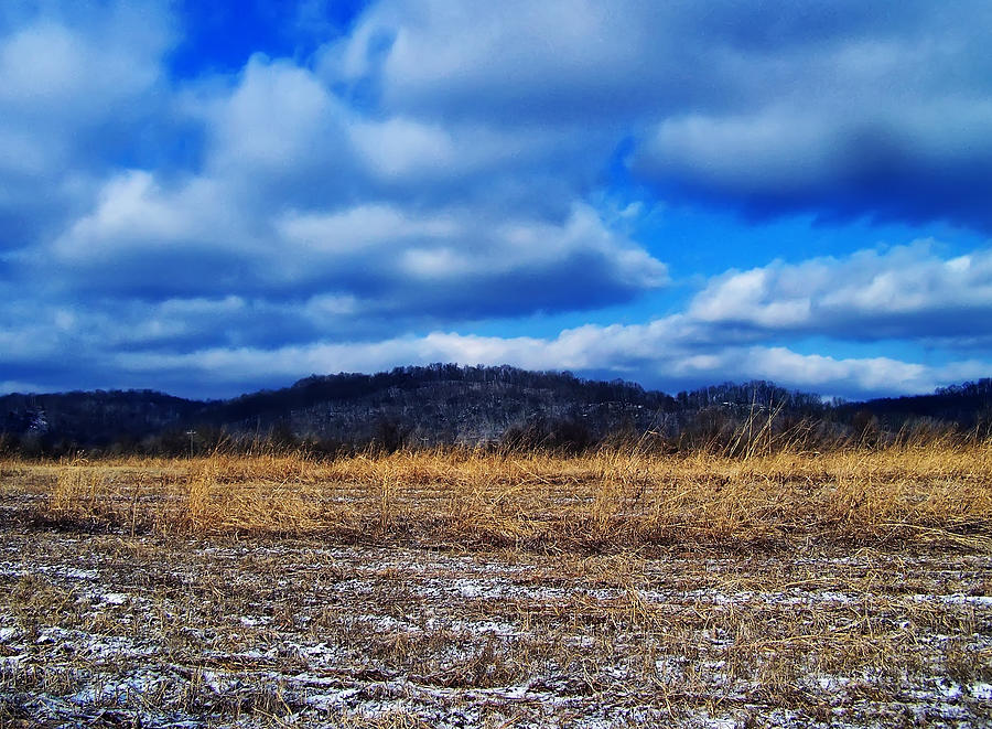 Winter Field Photograph by Flees Photos