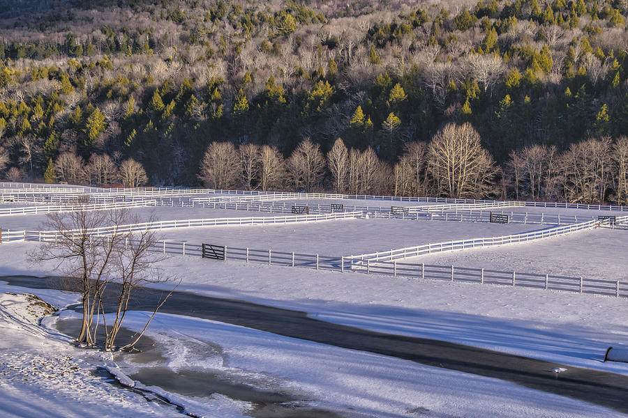 Winter Field II Photograph by Tom Singleton