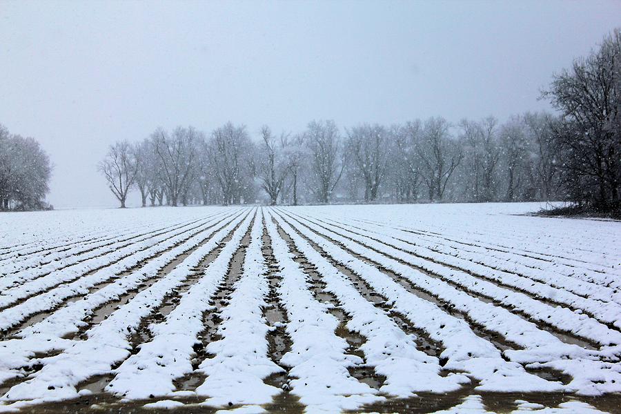 Winter Photograph - Winter Field by Karen Wagner