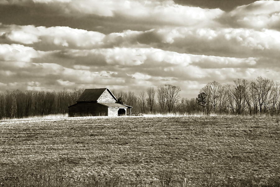 Winter Fields Photograph by Alan Hausenflock