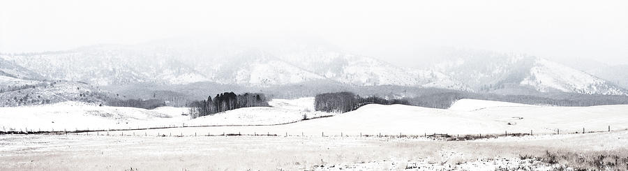 Winter Fields Photograph by Grant Sorenson
