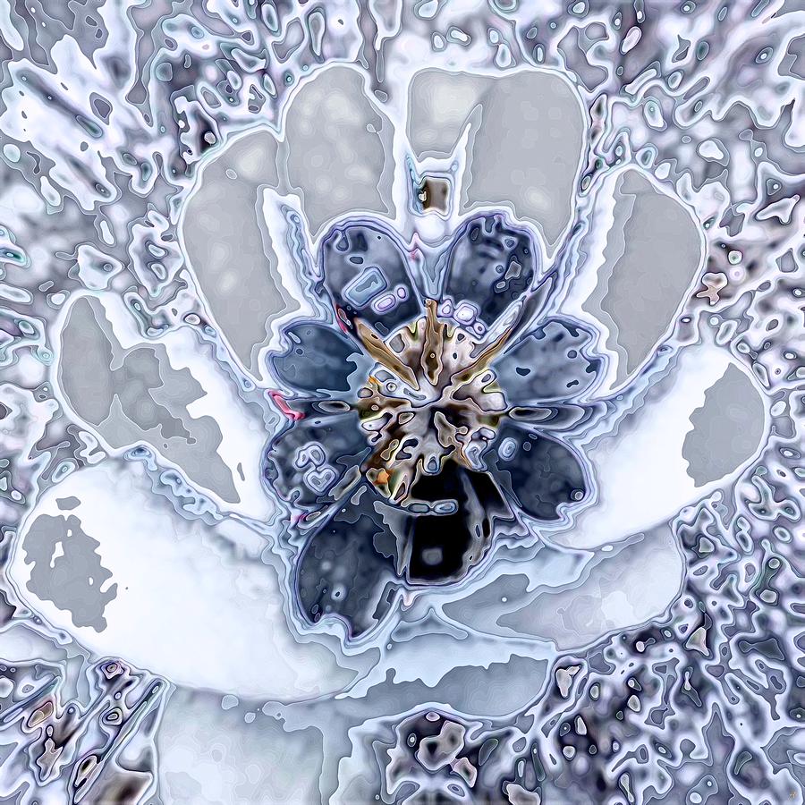 Winter Flower 2 Digital Art by Ronald Bissett