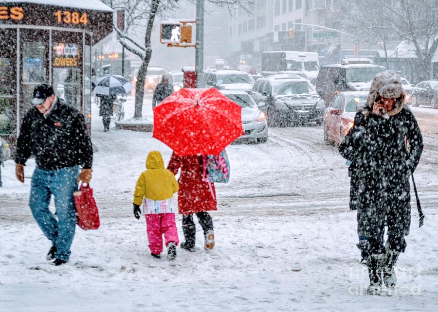 Winter Flowers - Umbrellas of New York Photograph by Miriam Danar