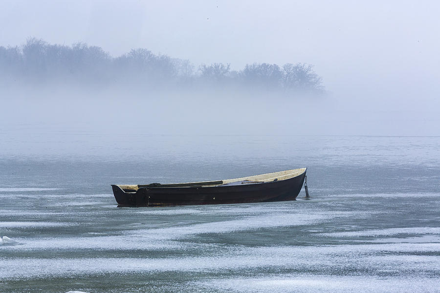 Winter fog Photograph by Elmer Jensen