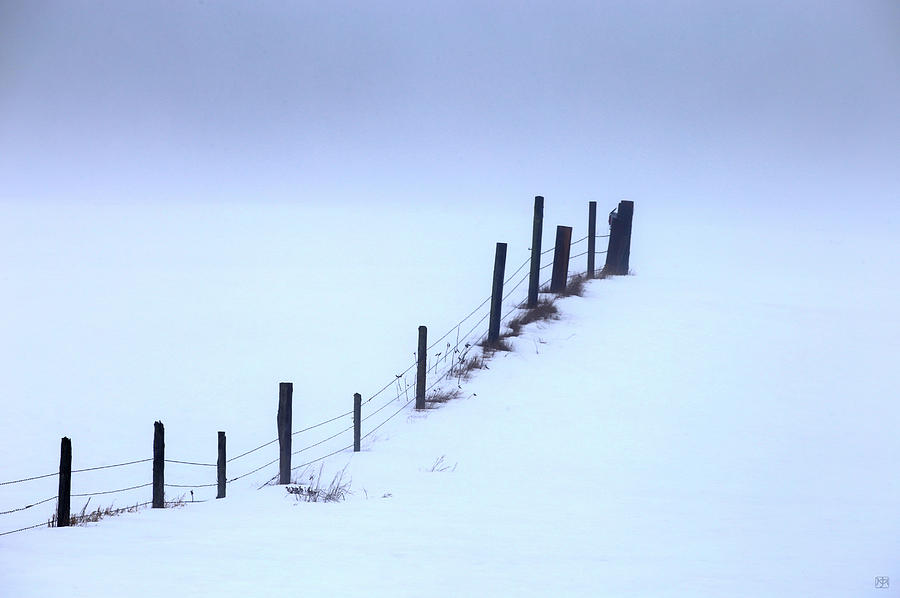Winter Fog Photograph by John Meader