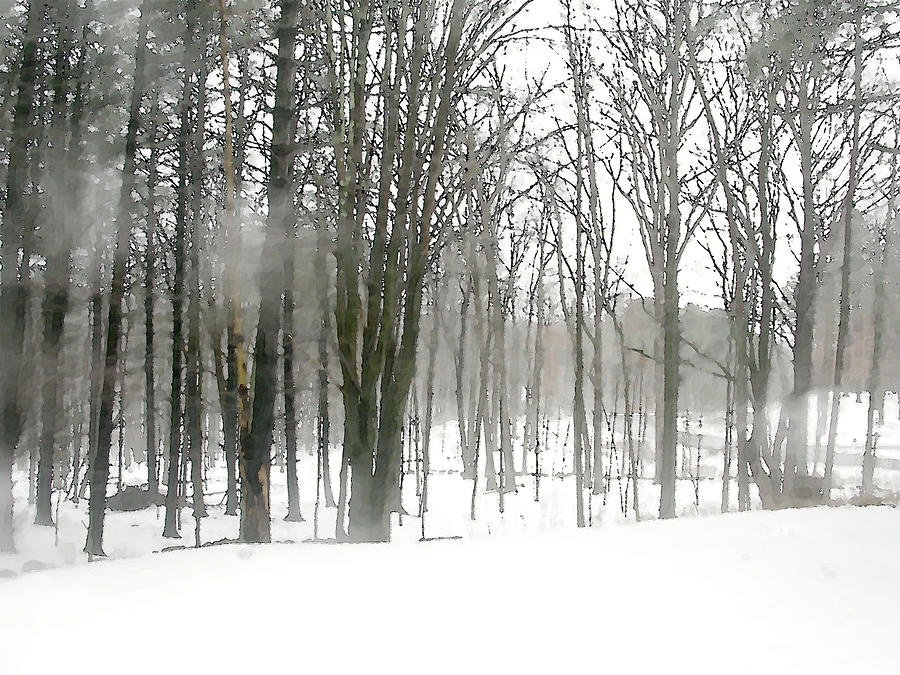 Winter Fog Painting by Paul Sachtleben
