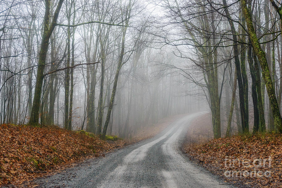 Winter Forest Road Photograph by Thomas R Fletcher