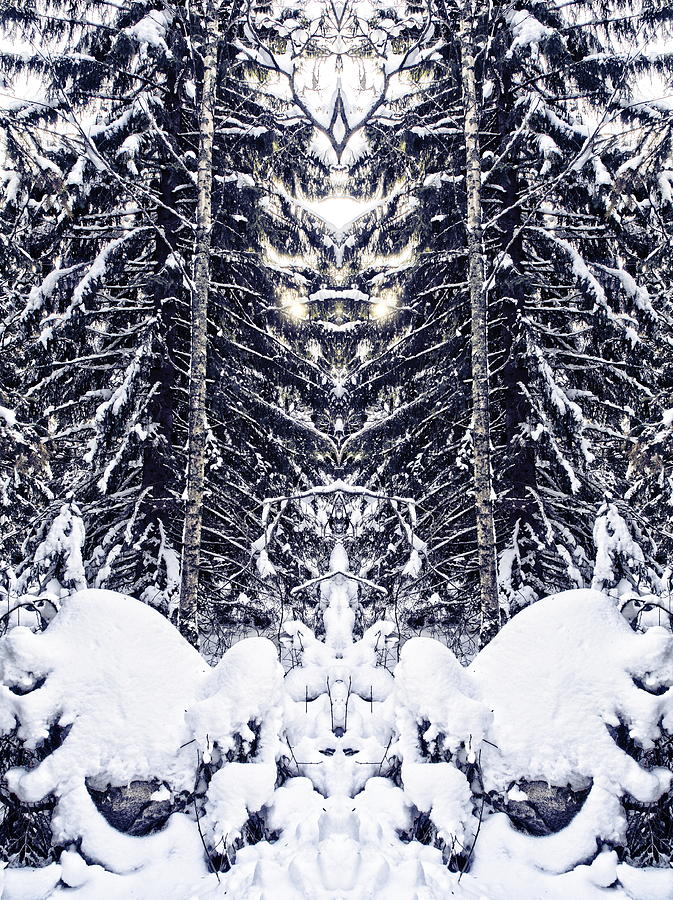 Winter forest Spirits Photograph by Jouko Lehto