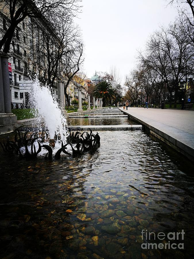 Winter fountain Photograph by Jarek Filipowicz