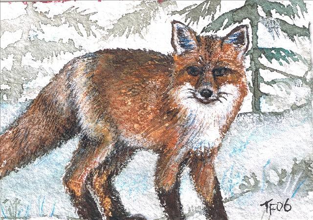Nature Drawing - Winter Fox by Terri Kilpatrick