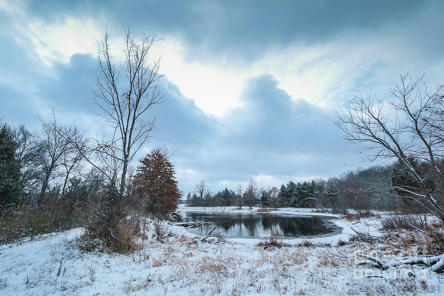 Winter Freeze Photograph by Garry McMichael
