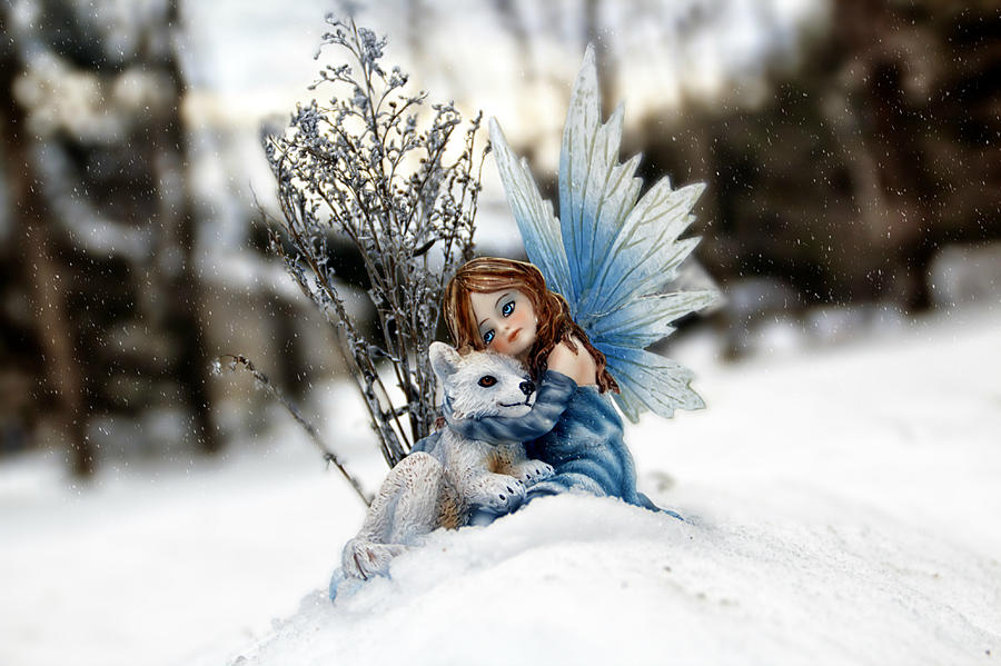 Fairy Photograph - Winter Friends by Catherine Melvin