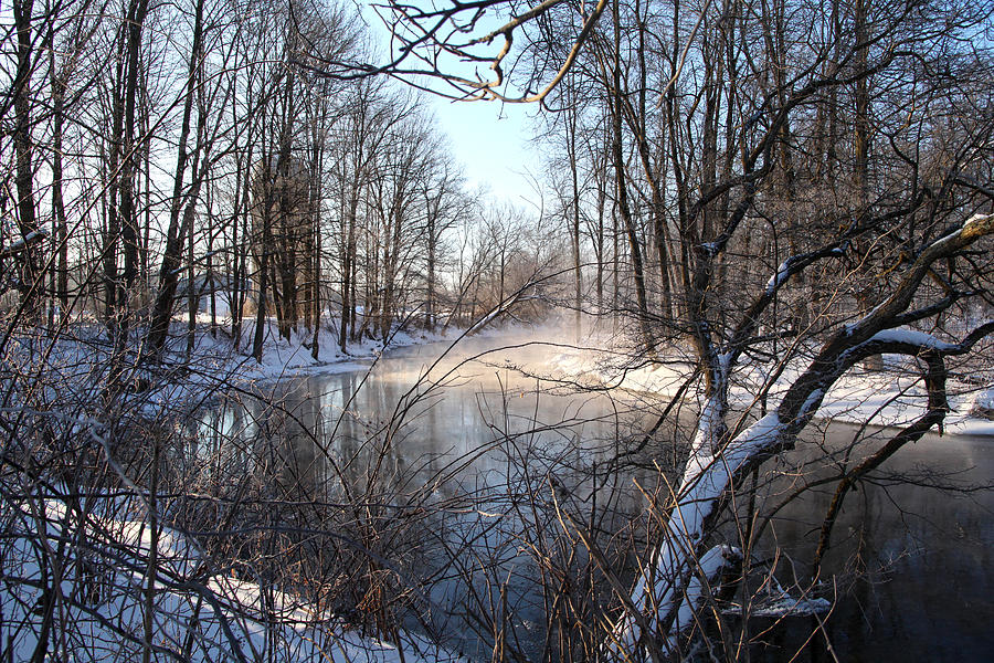 Winter Frost Photograph by Robert Och