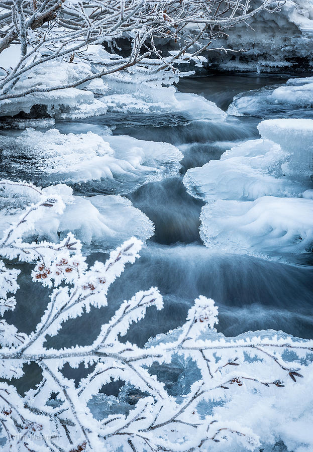 Winter Frost Photograph by Tim Newton