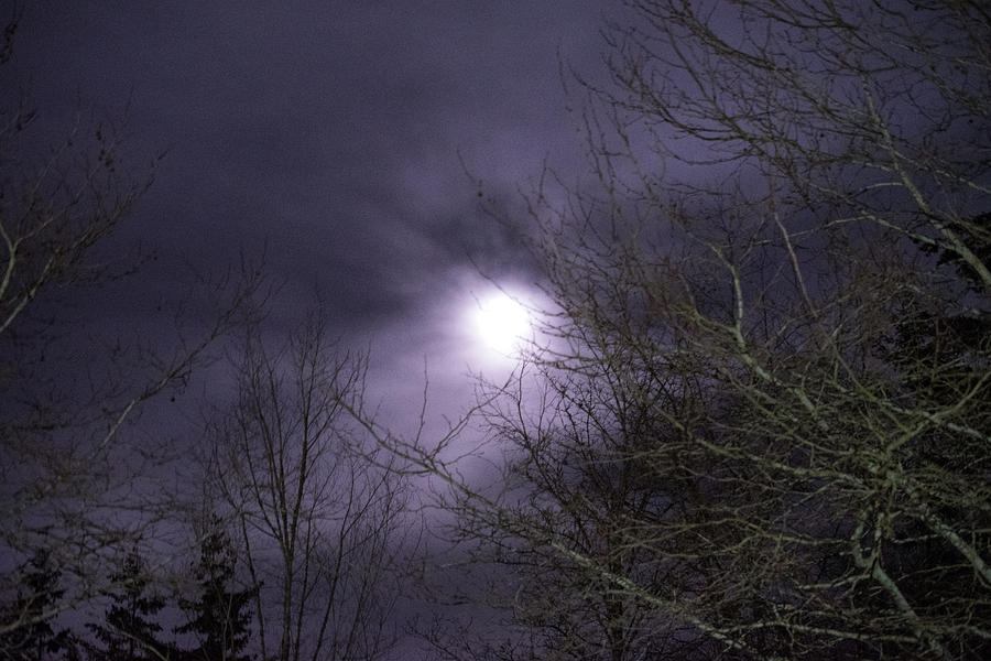 Winter Full Moon over Bellingham  Photograph by Tom Cochran