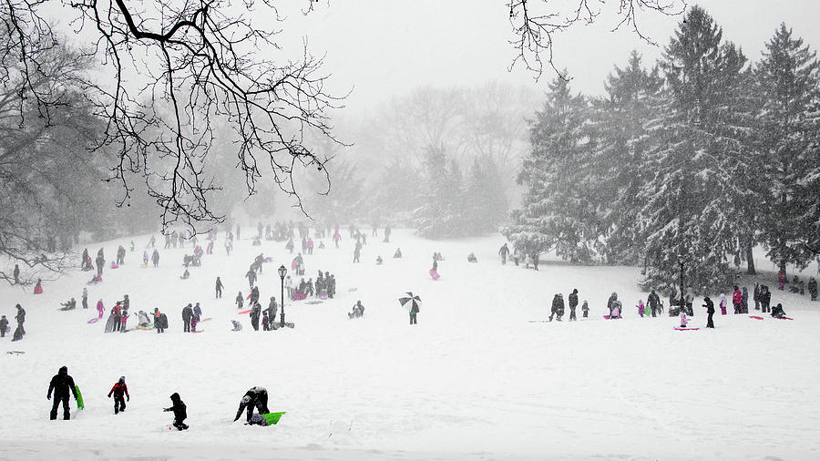 Winter Fun on Cedar Hill Photograph by Cornelis Verwaal