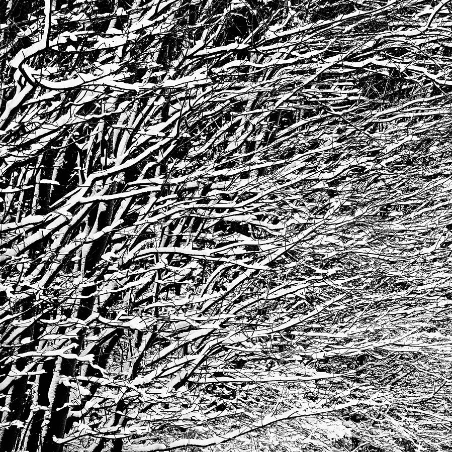 Abstract Photograph - Winter by Gert Lavsen