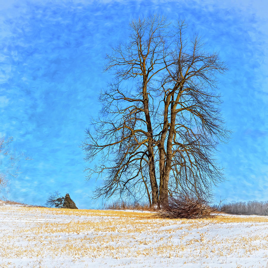 Winter Giant - Paint Photograph by Steve Harrington