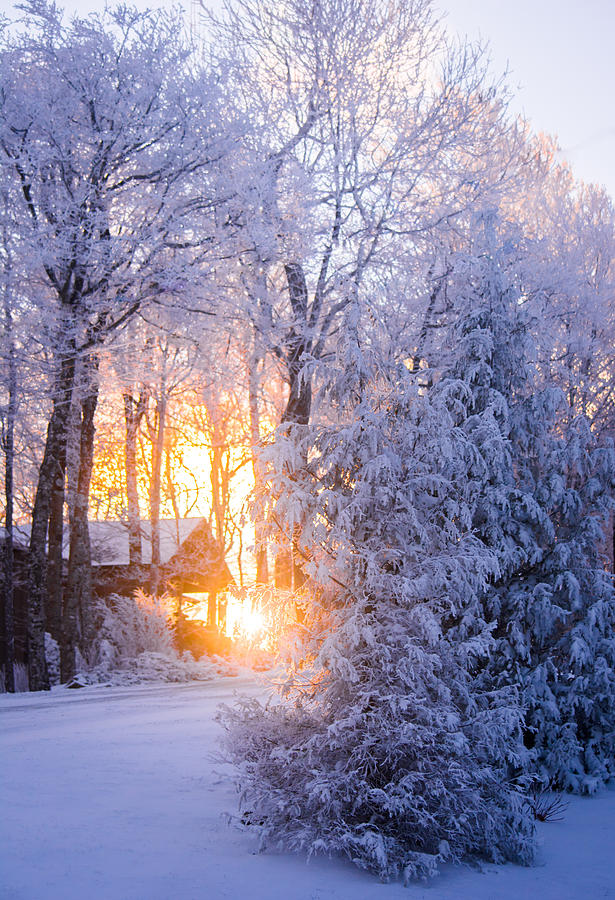 Winter Photograph - Winter Glow by Parker Cunningham