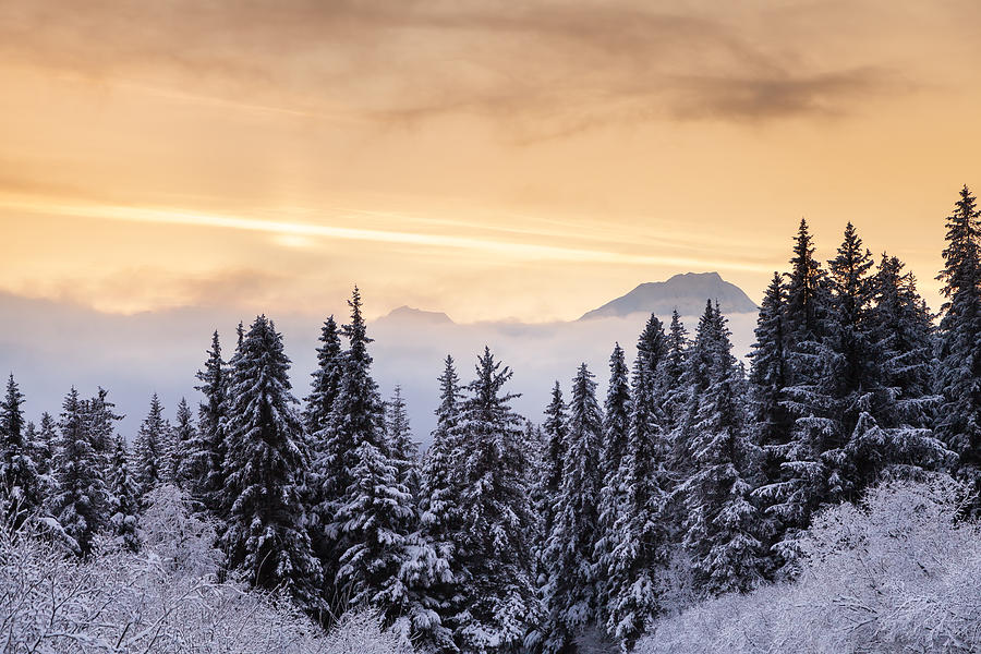 Winter Sunrise Photograph by Scott Slone
