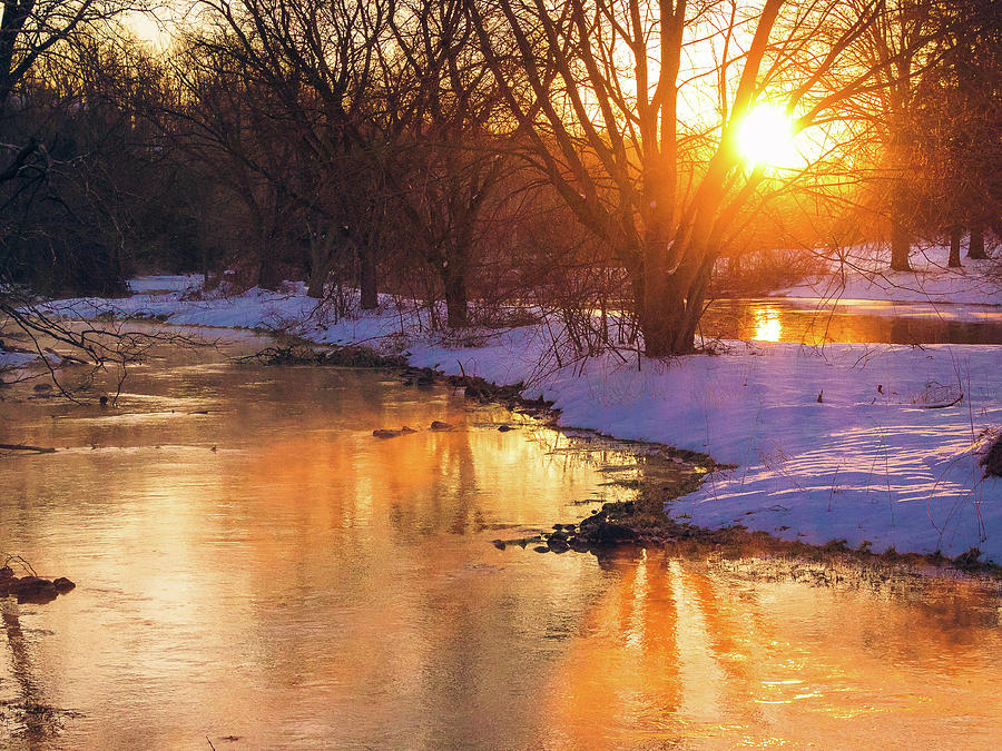 Winter Photograph - Winter Glow by Susan Grove