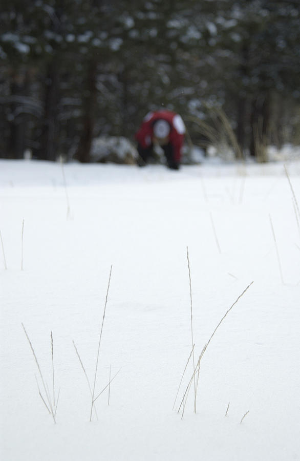 Winter Photograph - Winter Grass by Scott Sawyer