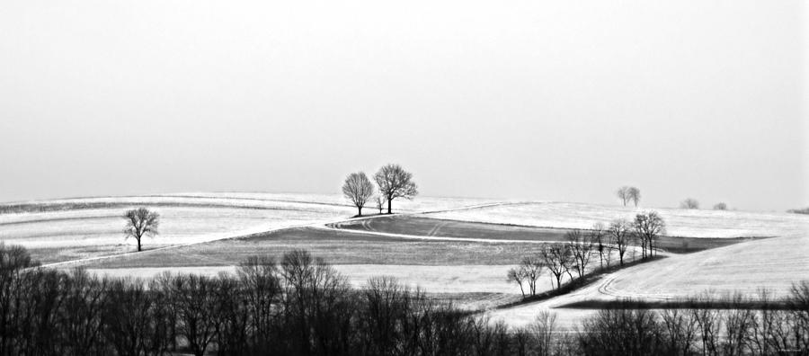 Black And White Photograph - Winter Gray by Dark Whimsy