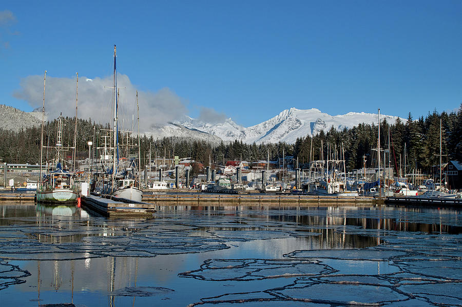 Winter Harbor Photograph by Cathy Mahnke