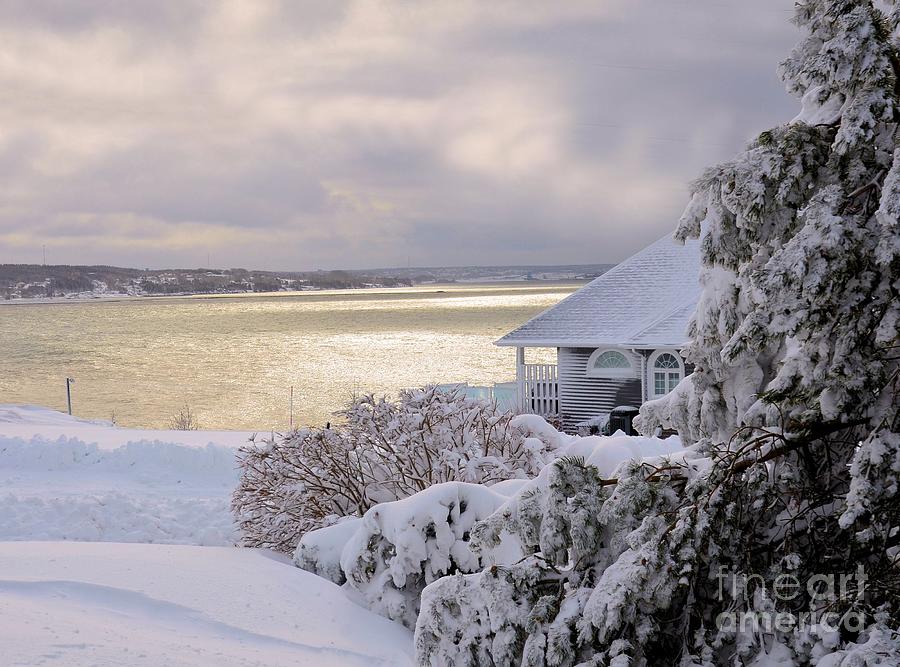   Atlantic Ocean Winter Harbour Photograph by Elaine Manley