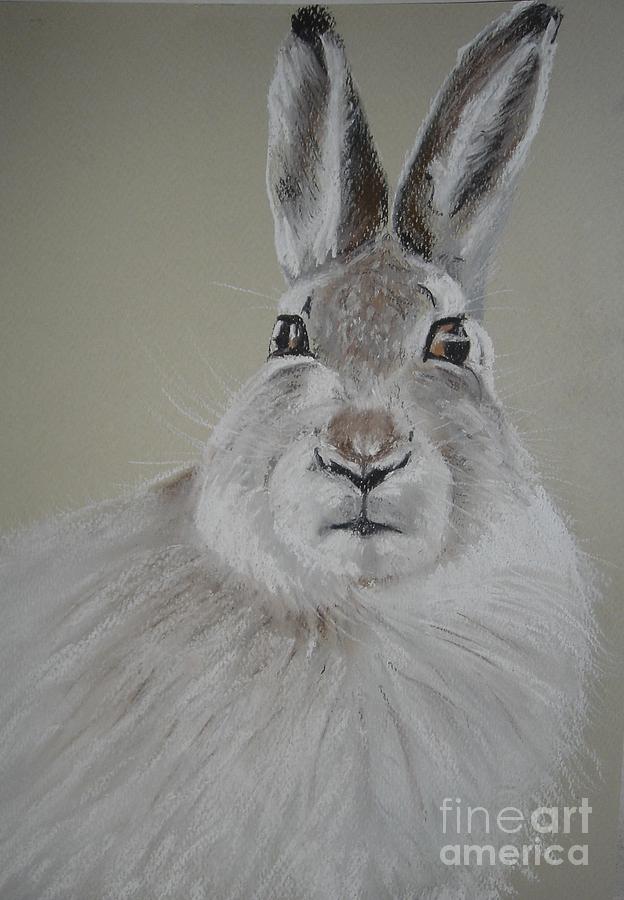 Winter Hare Pastel by Angela Cartner