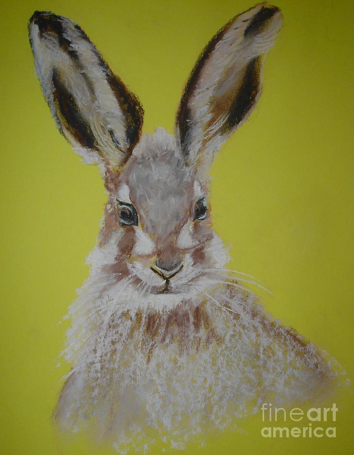 Winter Hare II Pastel by Angela Cartner