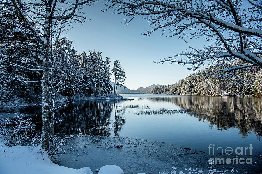 Winter Has Arrived Photograph by Susan Garver