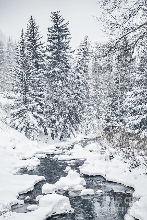 Nature Photograph - Winter Heaven by Evelina Kremsdorf