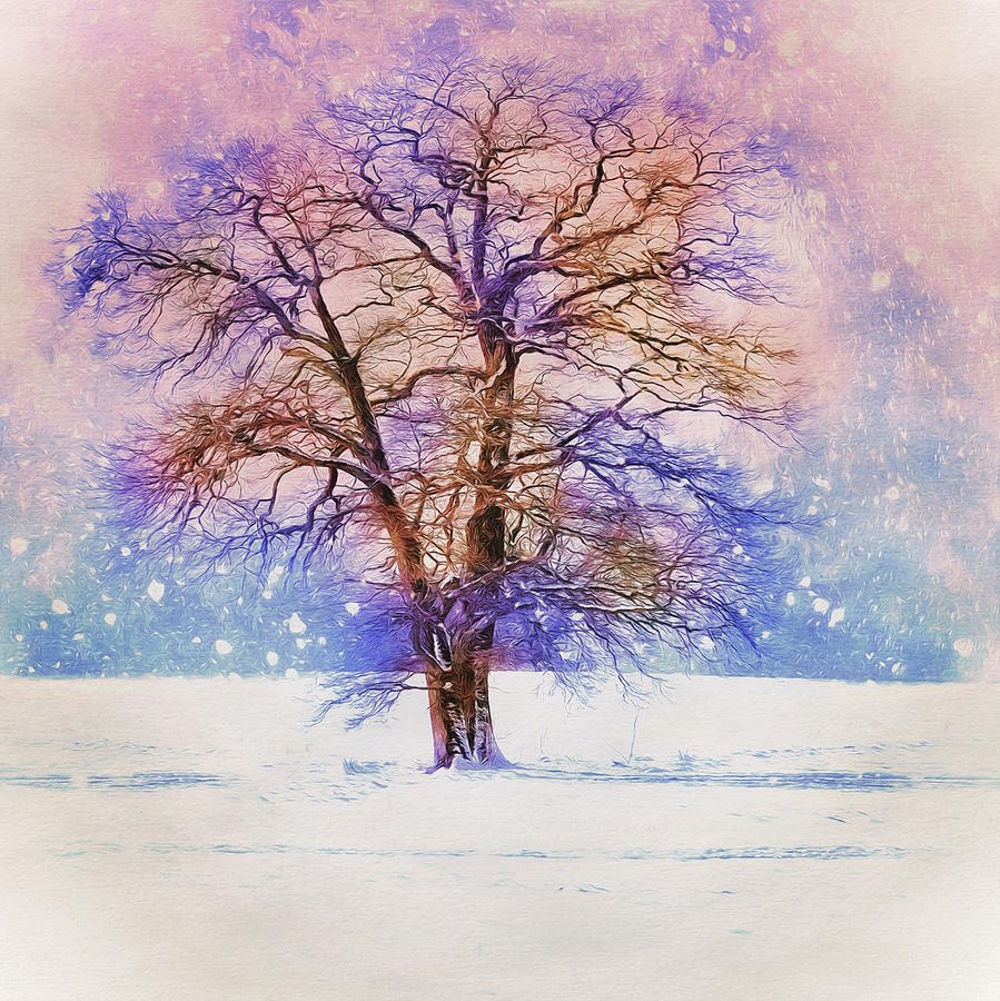 Winter Heights - Series 11 Digital Art by Don DePaola