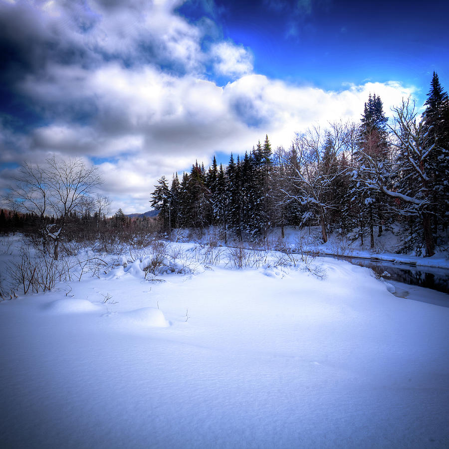 Winter Highlights Photograph by David Patterson