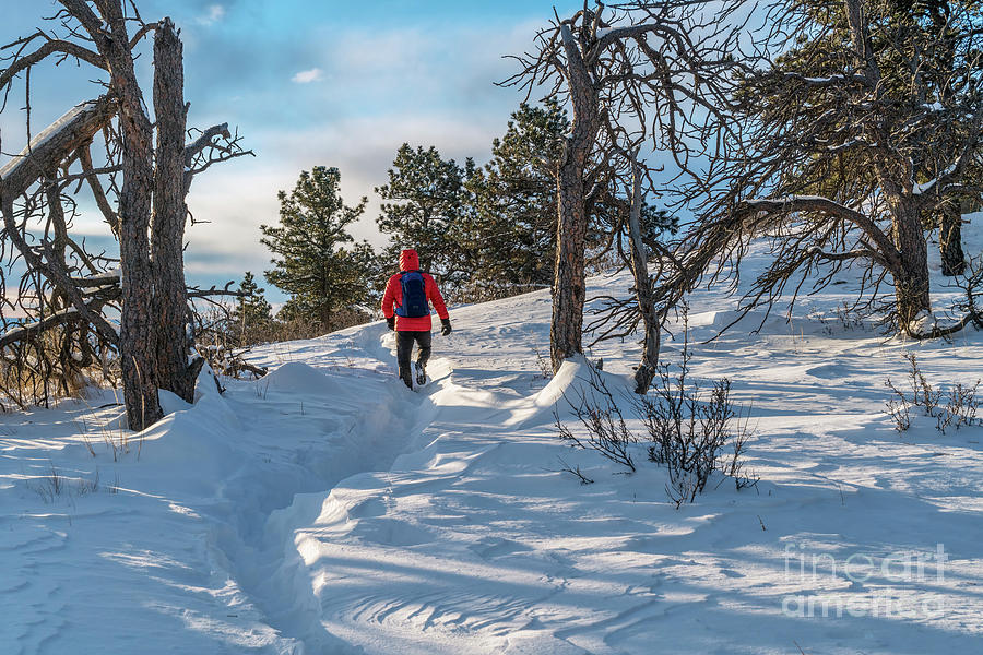 winter hiking in Colorado Photograph by Marek Uliasz