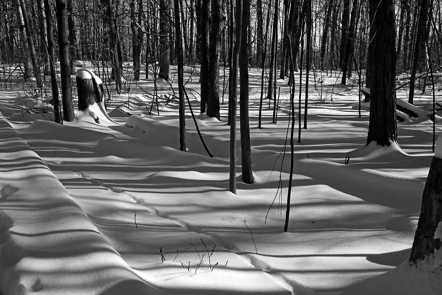 Winter Hiking Trail 2 BW 021218 Photograph by Mary Bedy
