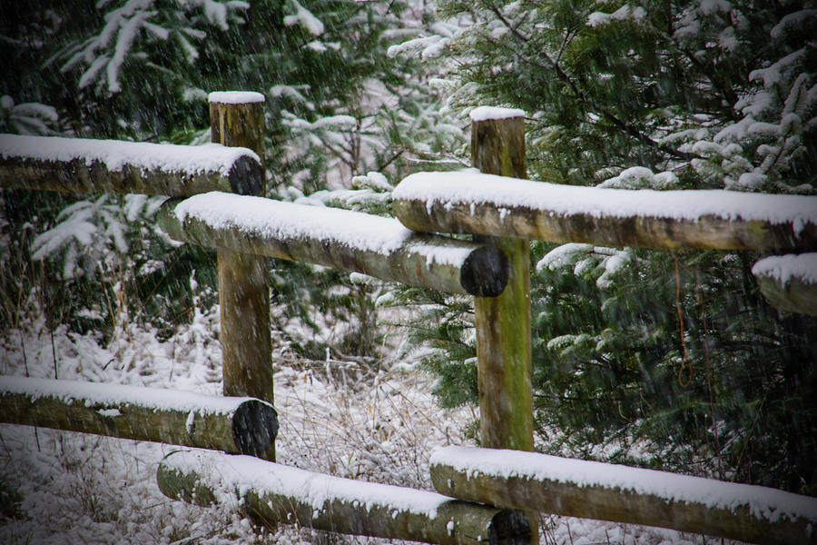 Winter Hitching Post Photograph by Tikvahs Hope