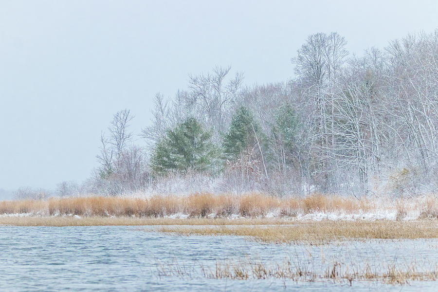 Winter Hoarfrost on the River Photograph by Patti Deters