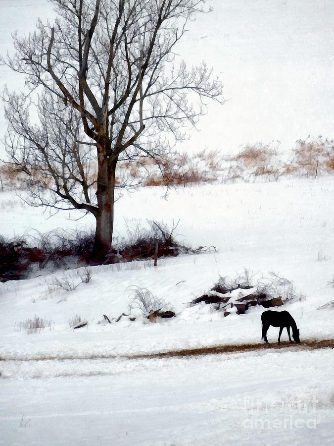Winter Photograph - Winter Horse Pasture 1 by Janine Riley