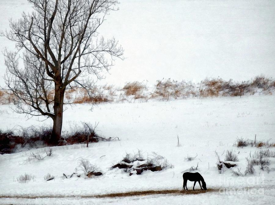 Winter Horse Pasture 2 Photograph by Janine Riley