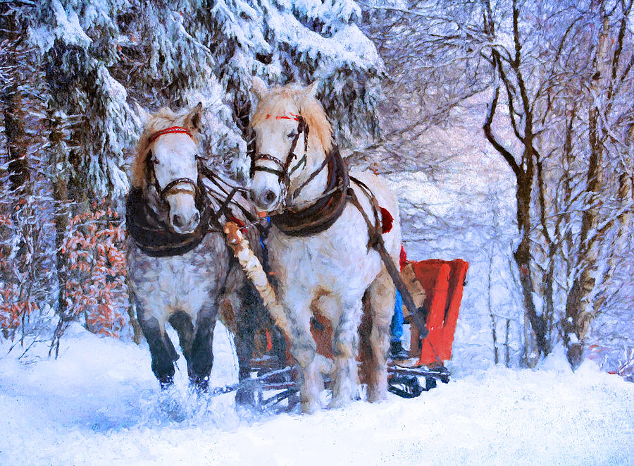 Tree Photograph - Winter Horses by Georgiana Romanovna