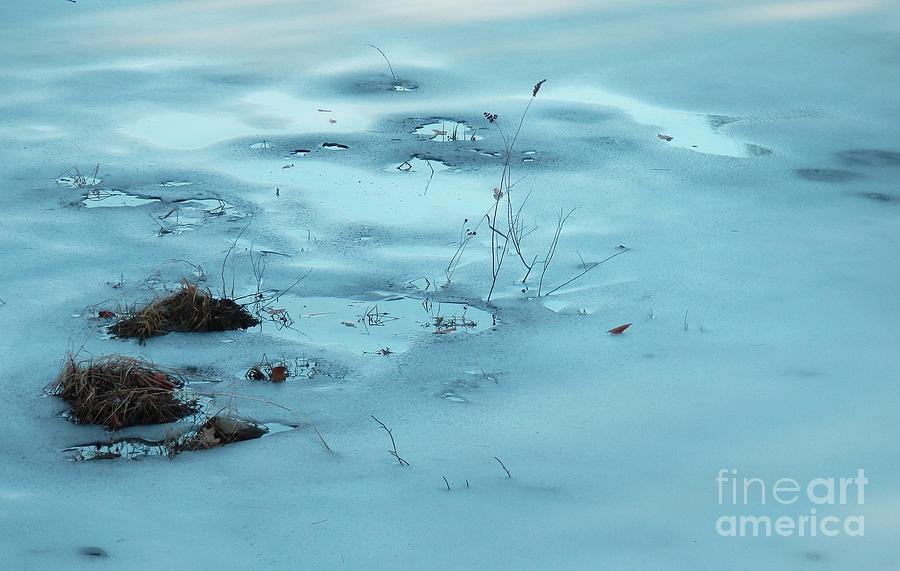 Nature Photograph - Winter Hue by Marcia Lee Jones