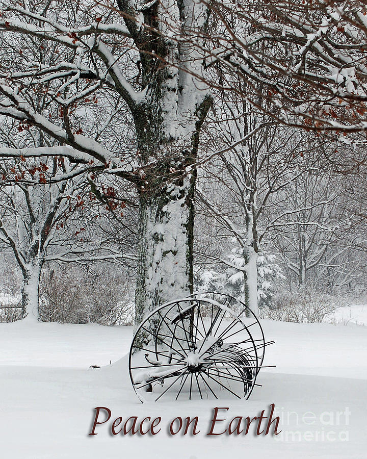Winter Hush Peace on Earth Photograph by Diane E Berry