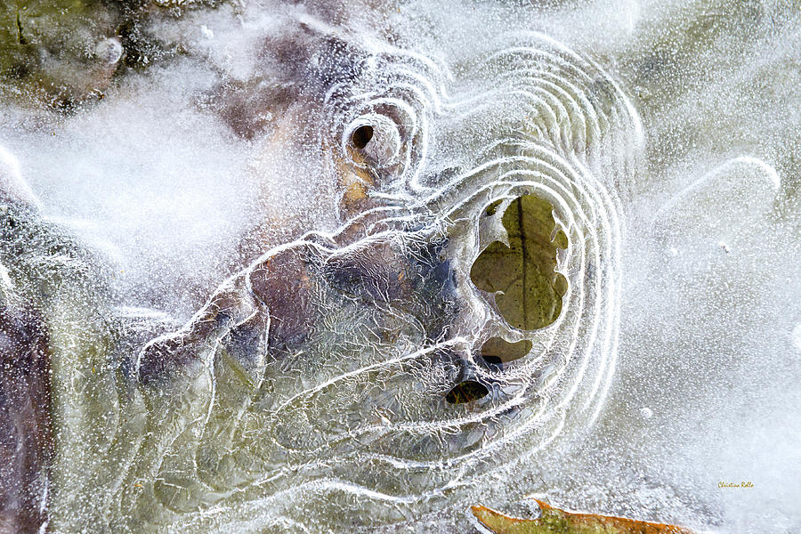 Winter Ice Pattern Photograph by Christina Rollo