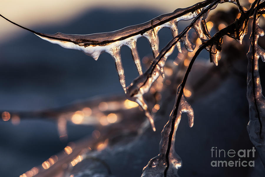 Winter Ice Photograph by JT Lewis